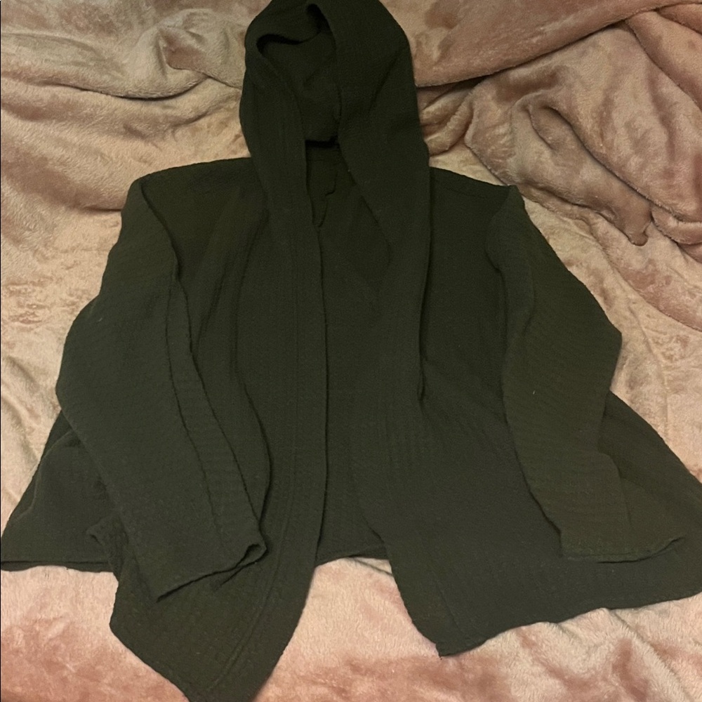 American Eagle Soft & Sexy Plush Hoodie